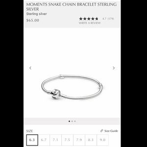 Pandora charm bracelet